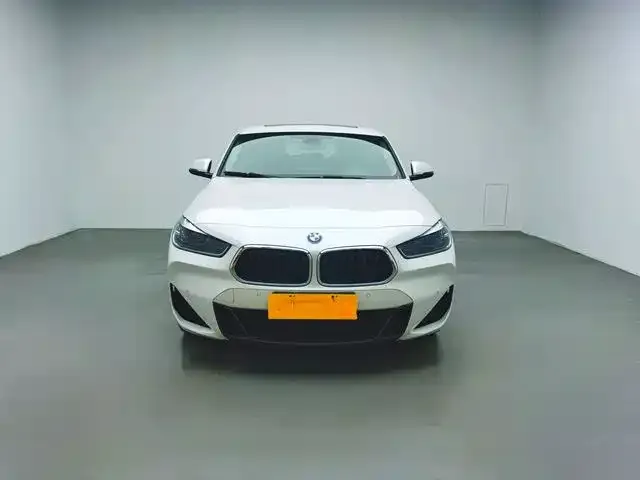 BMW X2 — фото 1