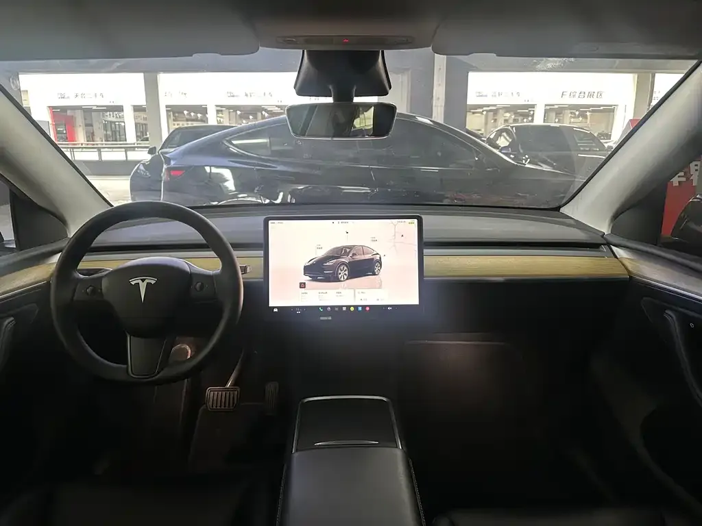 Tesla Model Y — фото 10