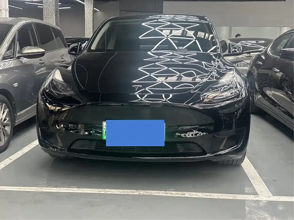 Tesla Model Y — фото 2