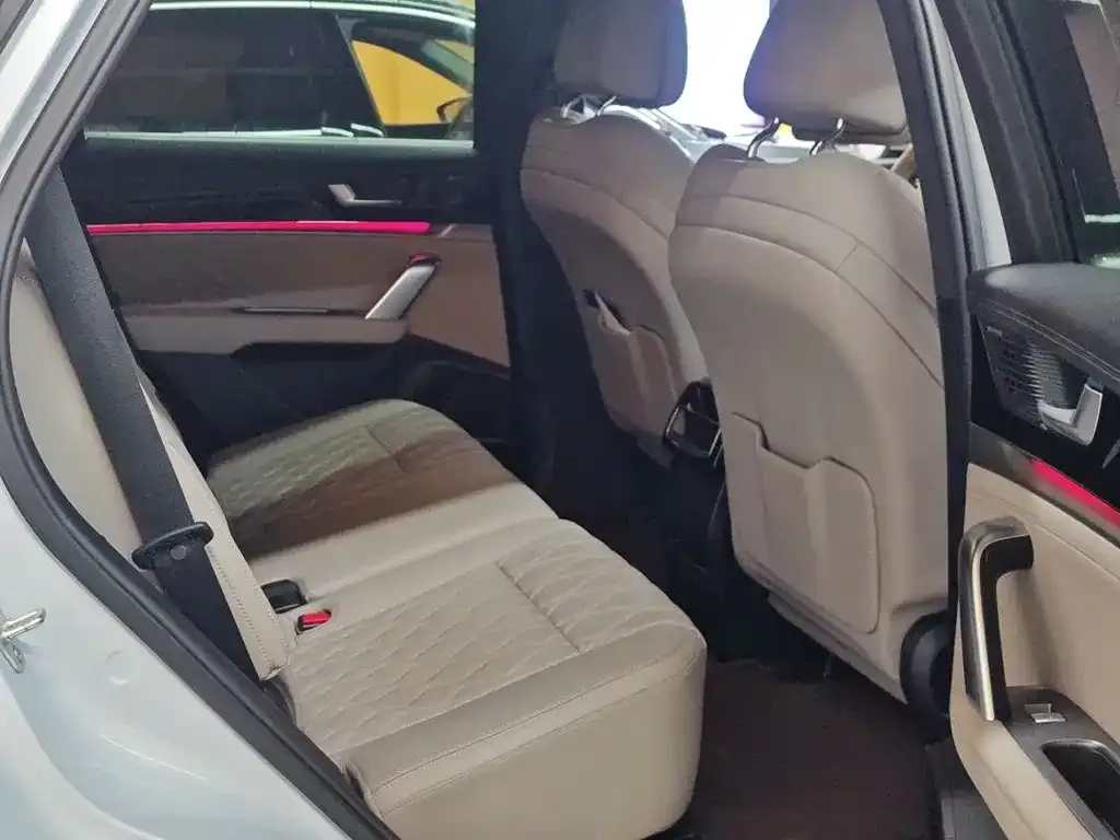 BYD Tang New Energy 2024 из CN, фото 3