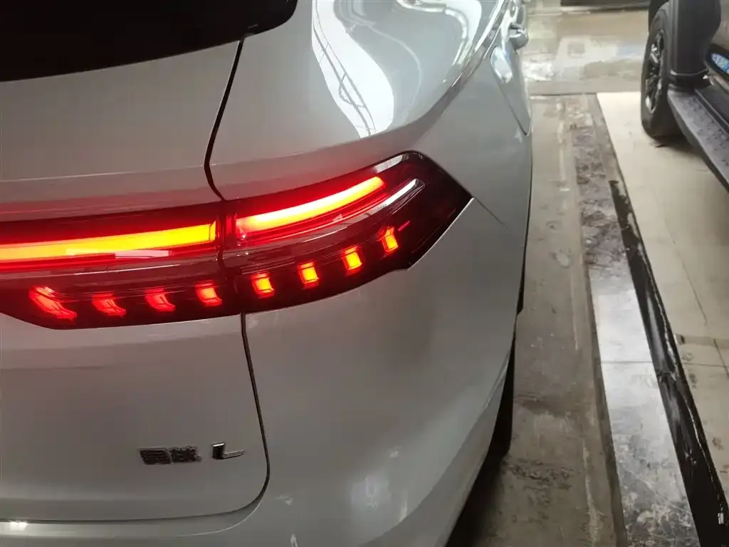 Geely Xingyue L 2024 из CN, фото 8