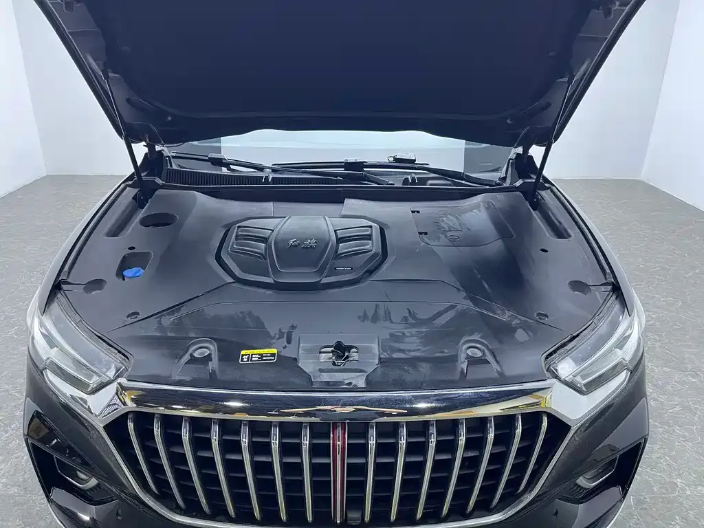 Hongqi HS5 2021 из CN, фото 8
