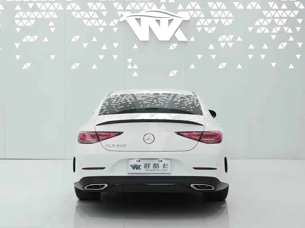 Mercedes-Benz CLS 2022 из CN, фото 5