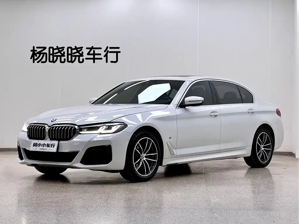 BMW 5 Series 2021 из CN, фото 1