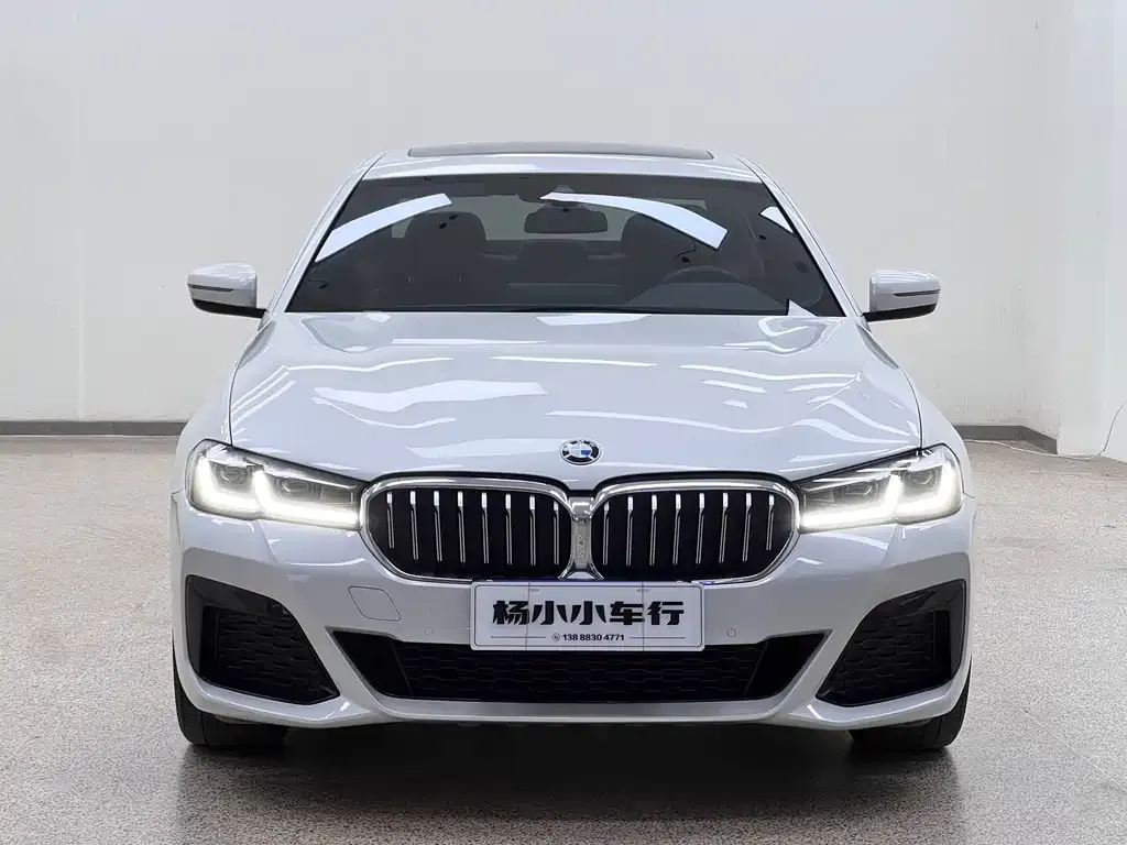 BMW 5 Series 2021 из CN, фото 2