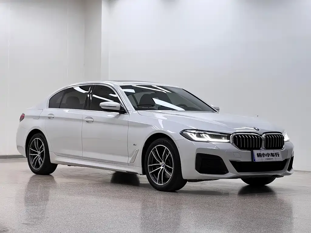 BMW 5 Series 2021 из CN, фото 3