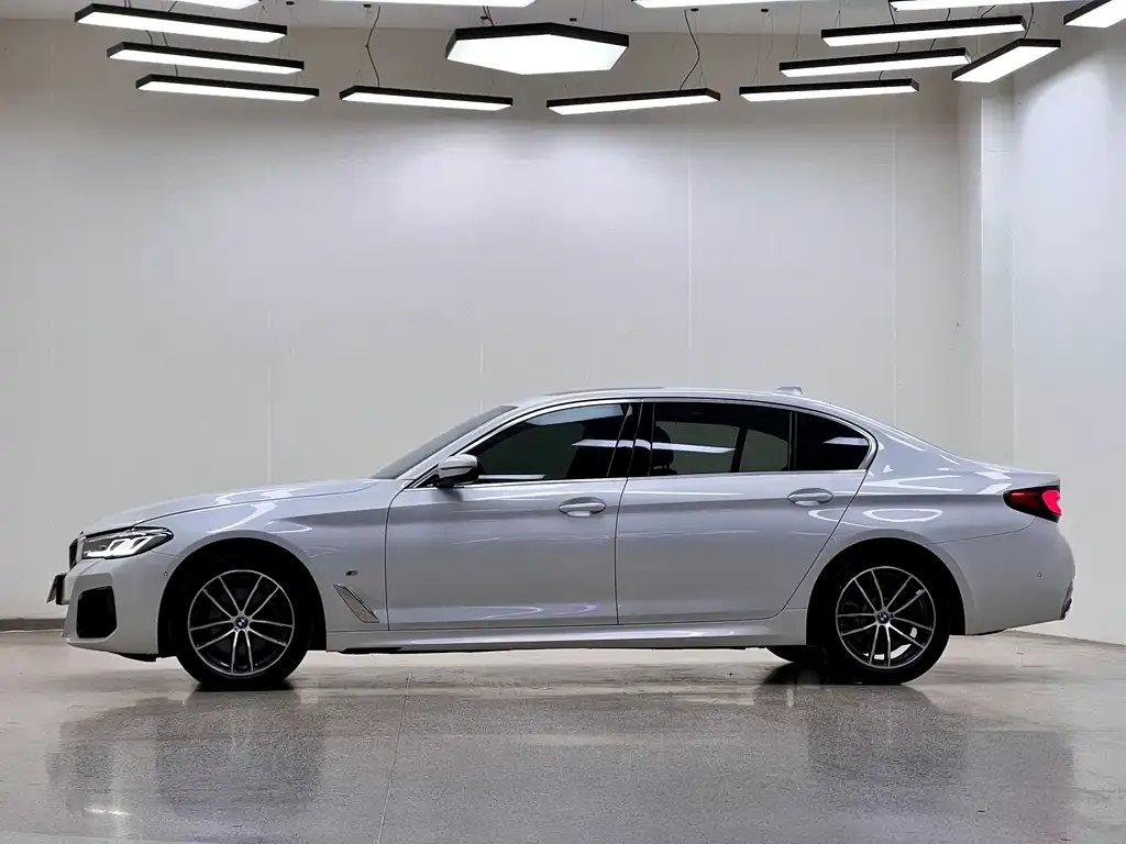 BMW 5 Series 2021 из CN, фото 4