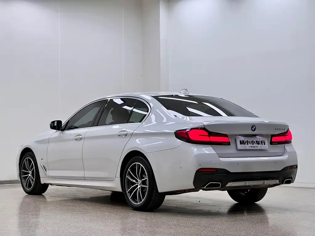 BMW 5 Series 2021 из CN, фото 5
