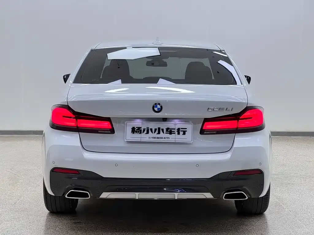 BMW 5 Series 2021 из CN, фото 6