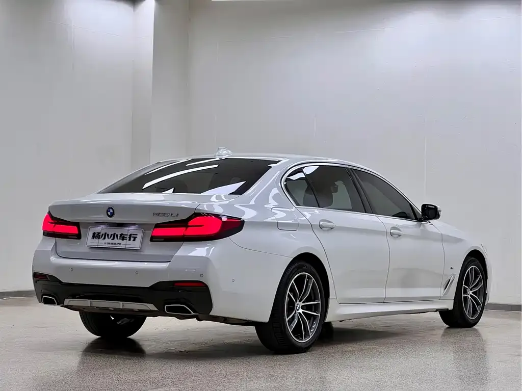BMW 5 Series 2021 из CN, фото 7