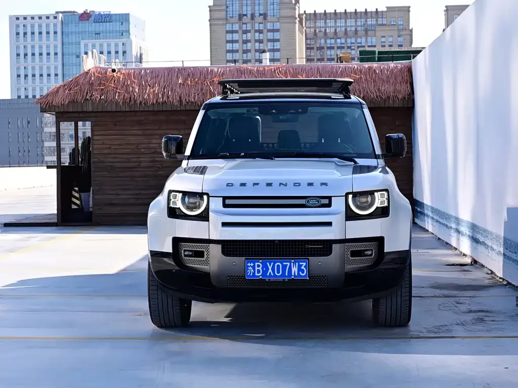 Land Rover Defender 2021 из CN, фото 2
