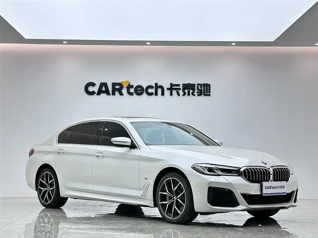 BMW 5 Series 2022 из CN, фото 6