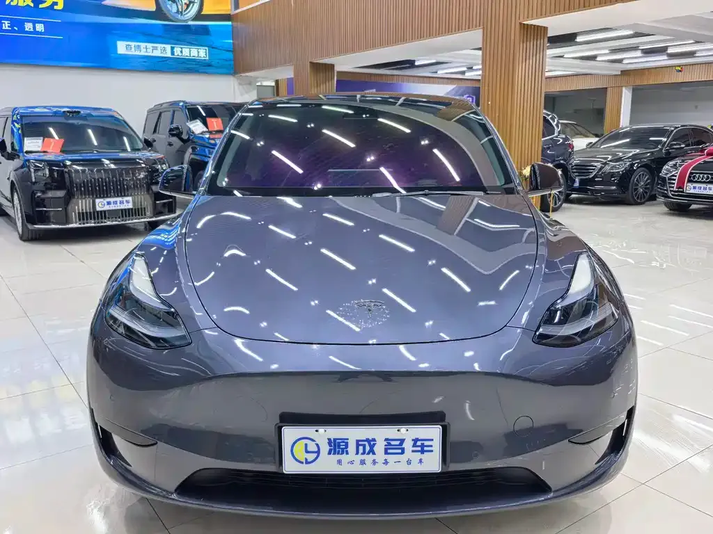 Tesla Model Y — фото 2