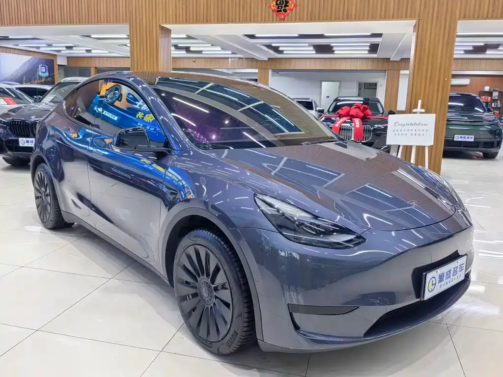Tesla Model Y — фото 3
