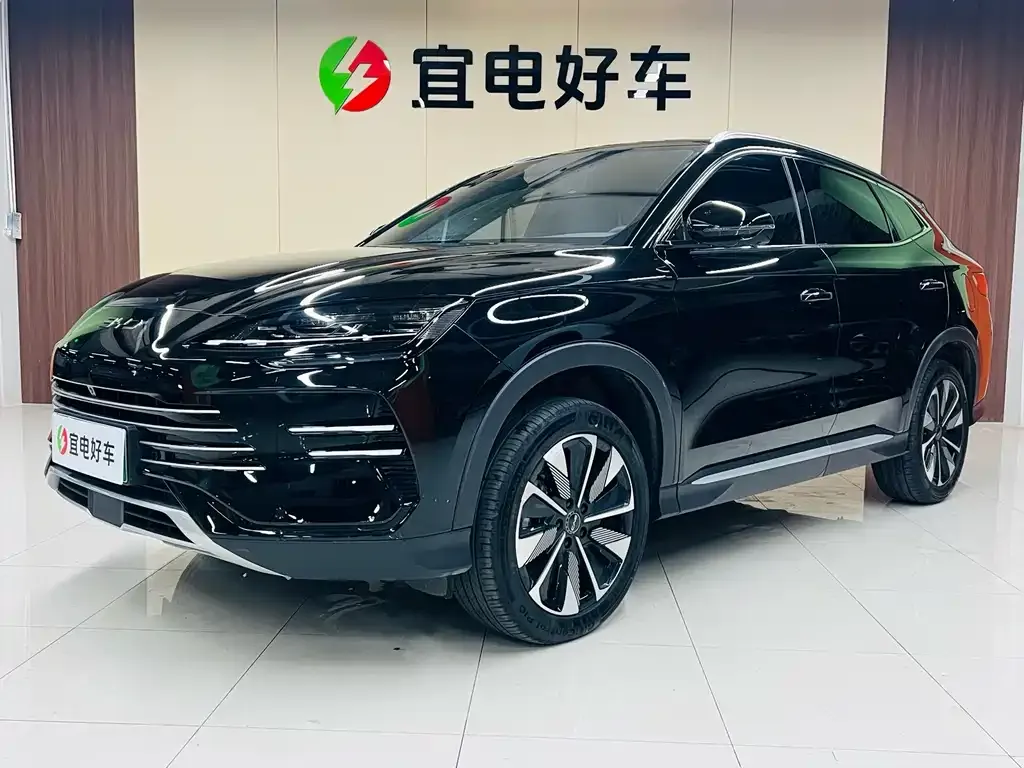 BYD PLUS New Energy — фото 1
