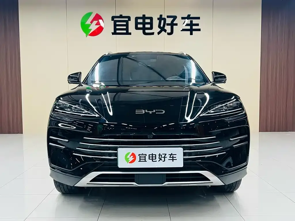 BYD PLUS New Energy — фото 2