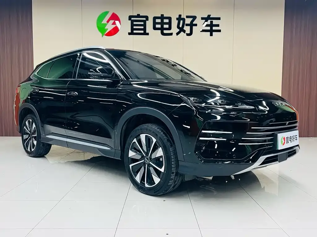 BYD PLUS New Energy — фото 3