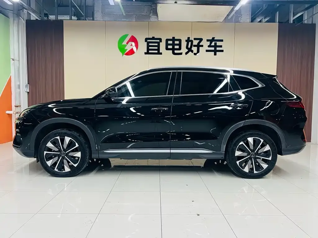 BYD PLUS New Energy — фото 4