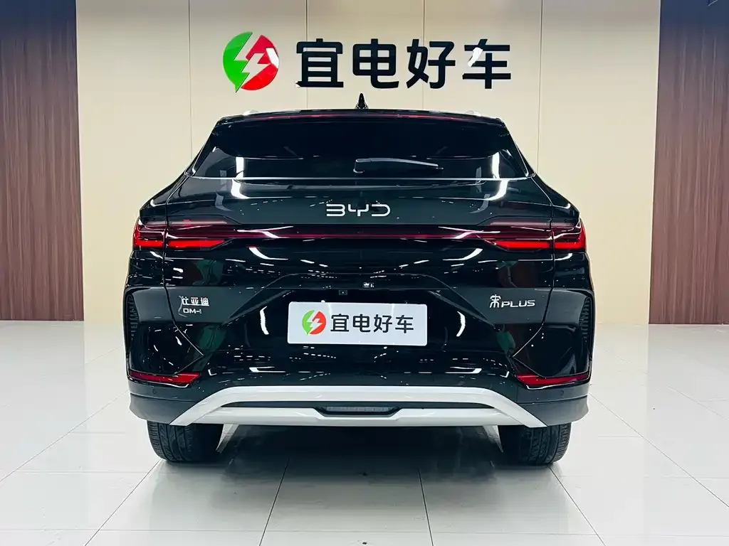 BYD PLUS New Energy — фото 6