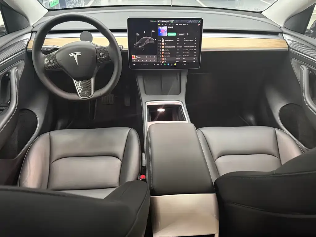 [object Object] Model Y 2021 из CN, фото 10