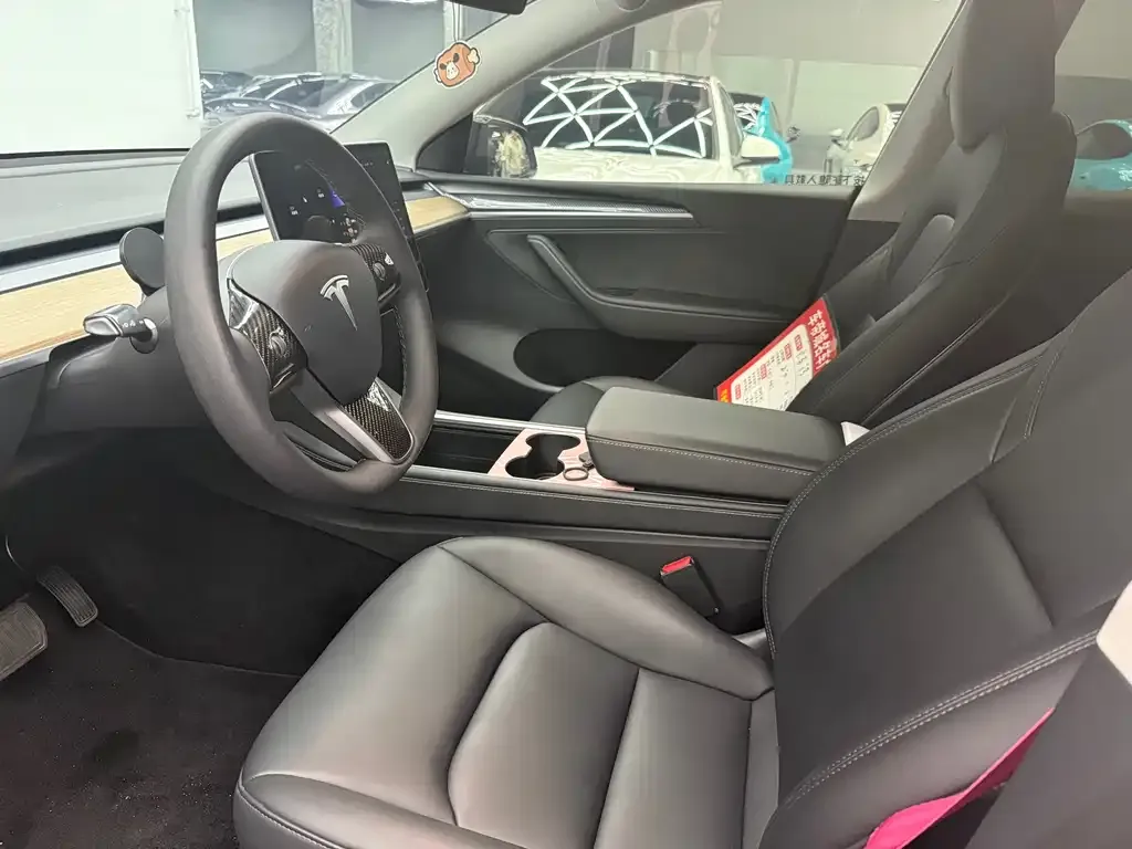 [object Object] Model Y 2021 из CN, фото 4