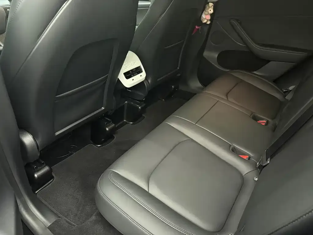 [object Object] Model Y 2021 из CN, фото 8