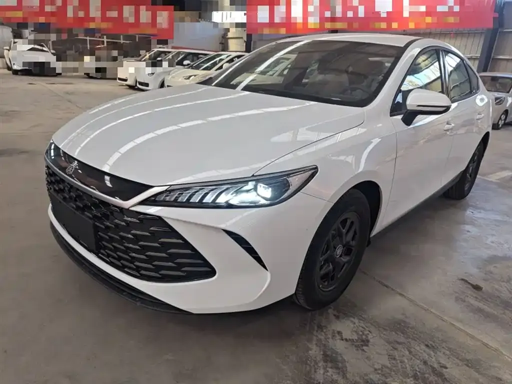 BYD Qin PLUS 2025 из CN, фото 1