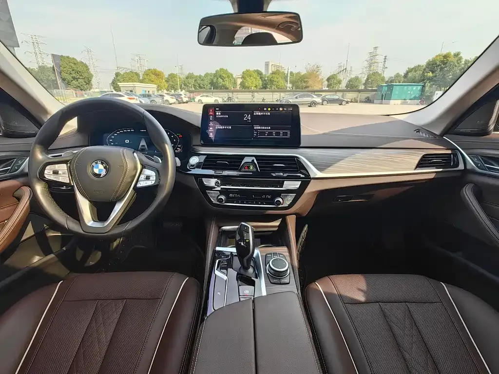 BMW 5 Series 2022 из CN, фото 10