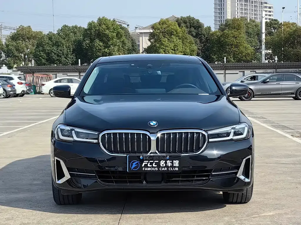 BMW 5 Series 2022 из CN, фото 2