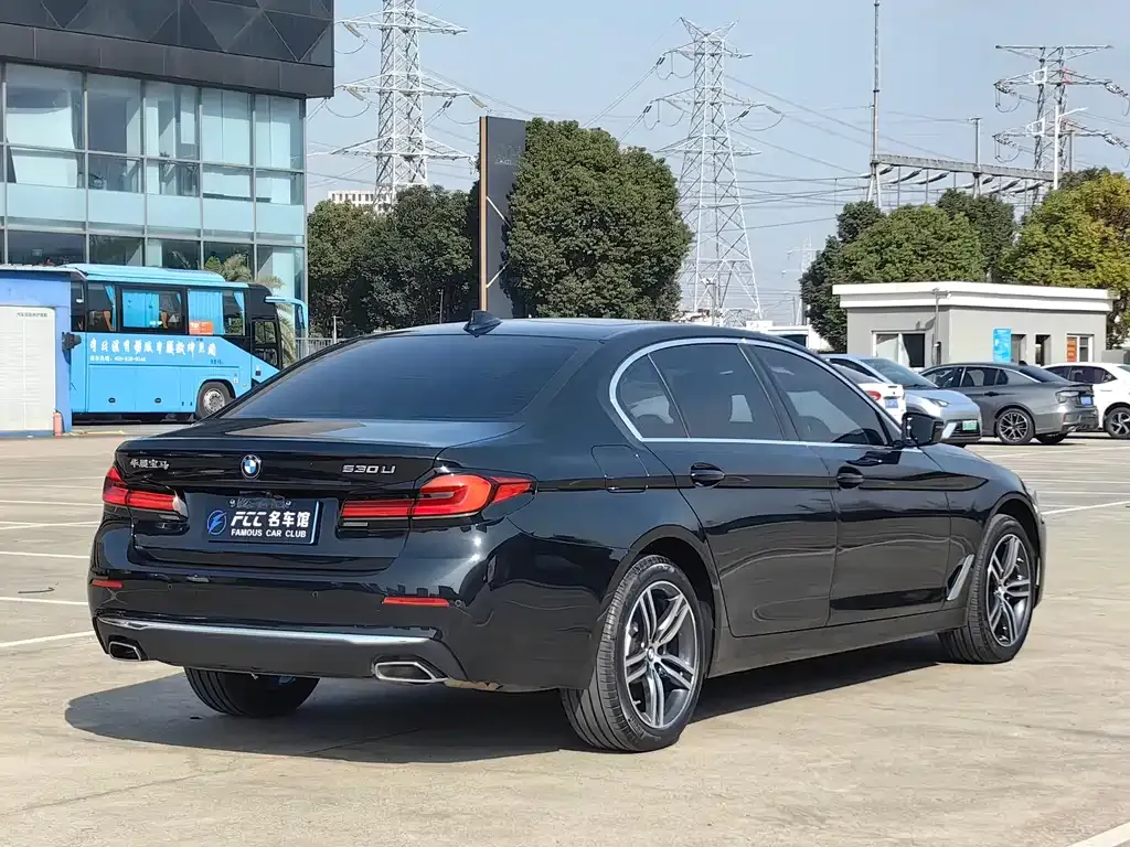 BMW 5 Series 2022 из CN, фото 4
