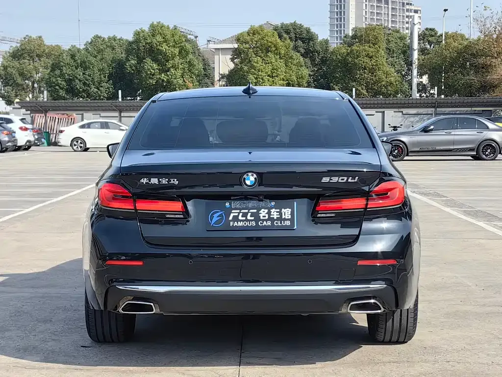BMW 5 Series 2022 из CN, фото 5