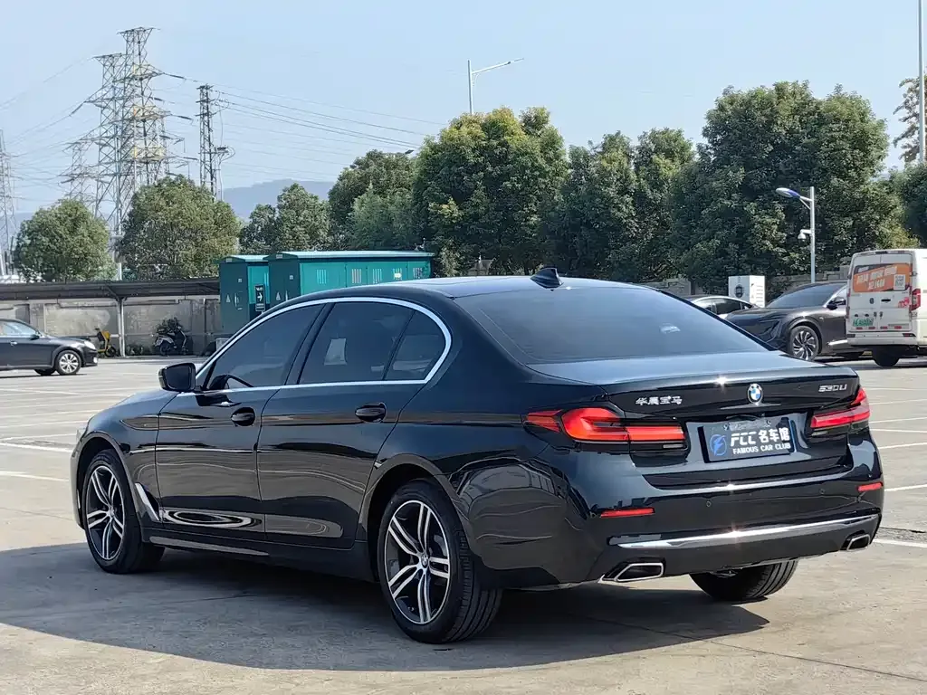 BMW 5 Series 2022 из CN, фото 6