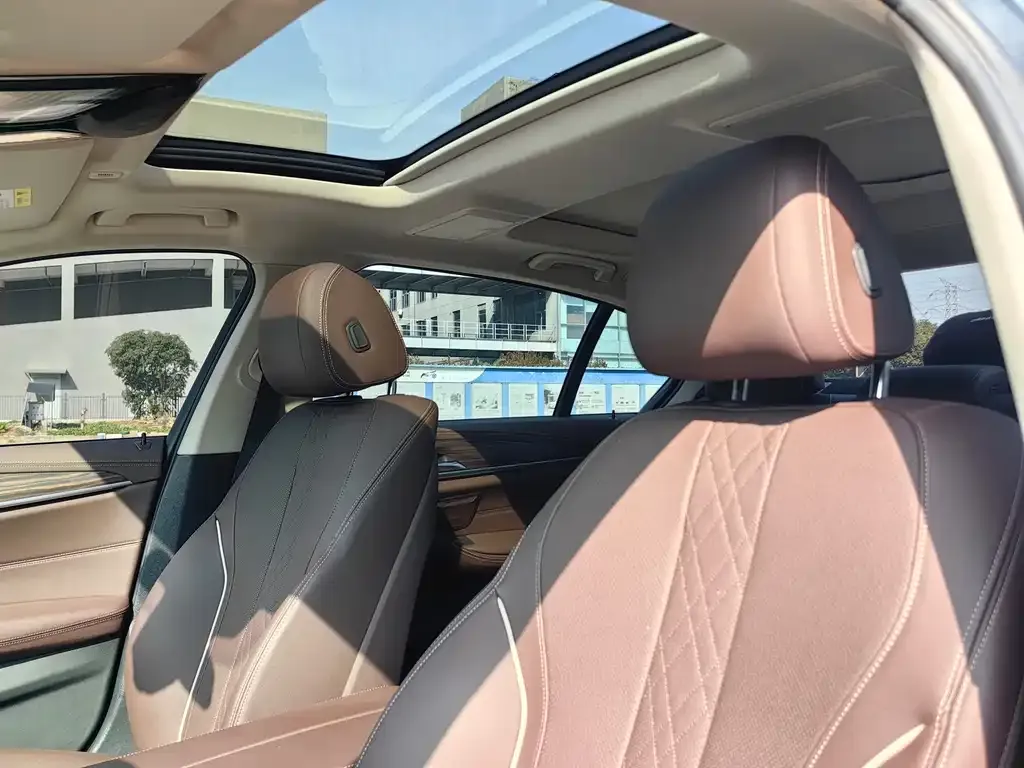 BMW 5 Series 2022 из CN, фото 9