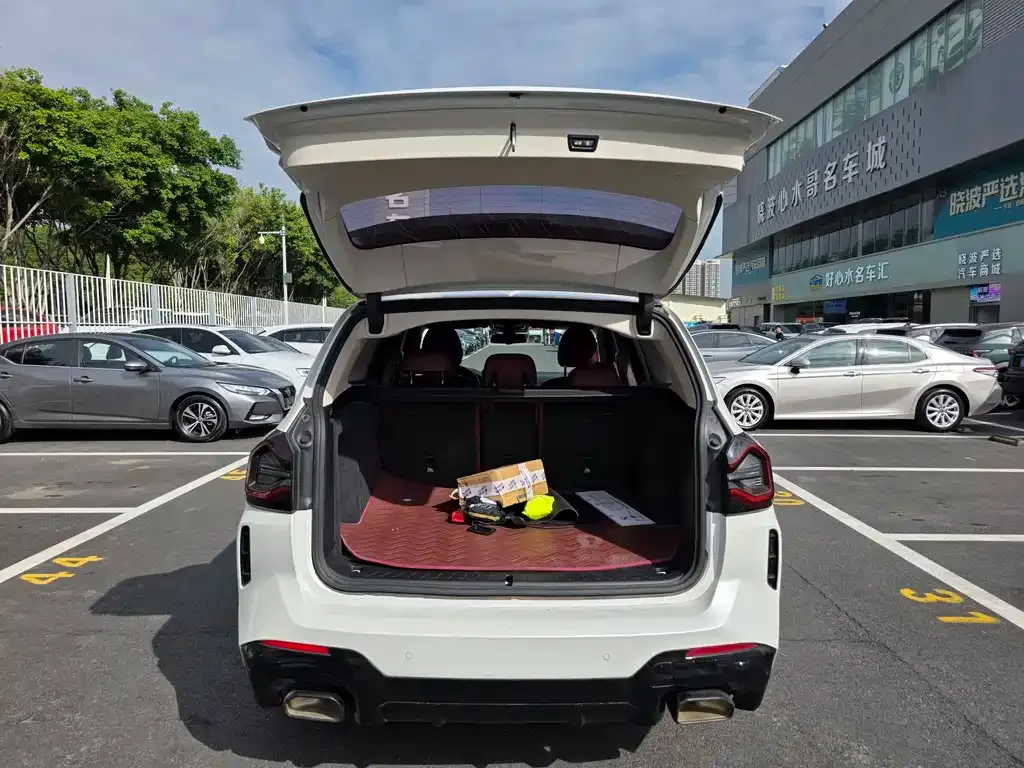 BMW X3 2023 из CN, фото 10