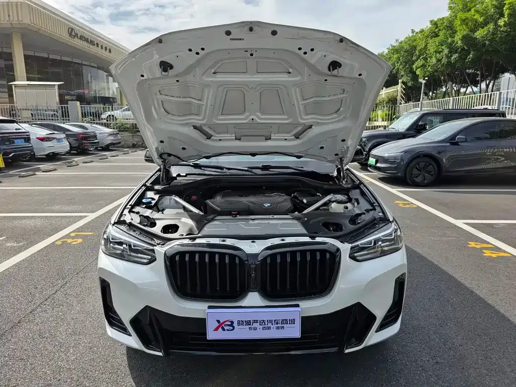 BMW X3 2023 из CN, фото 9