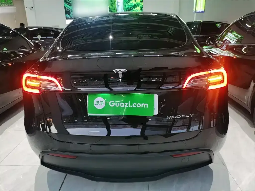 Tesla Model Y 2023 из CN, фото 6