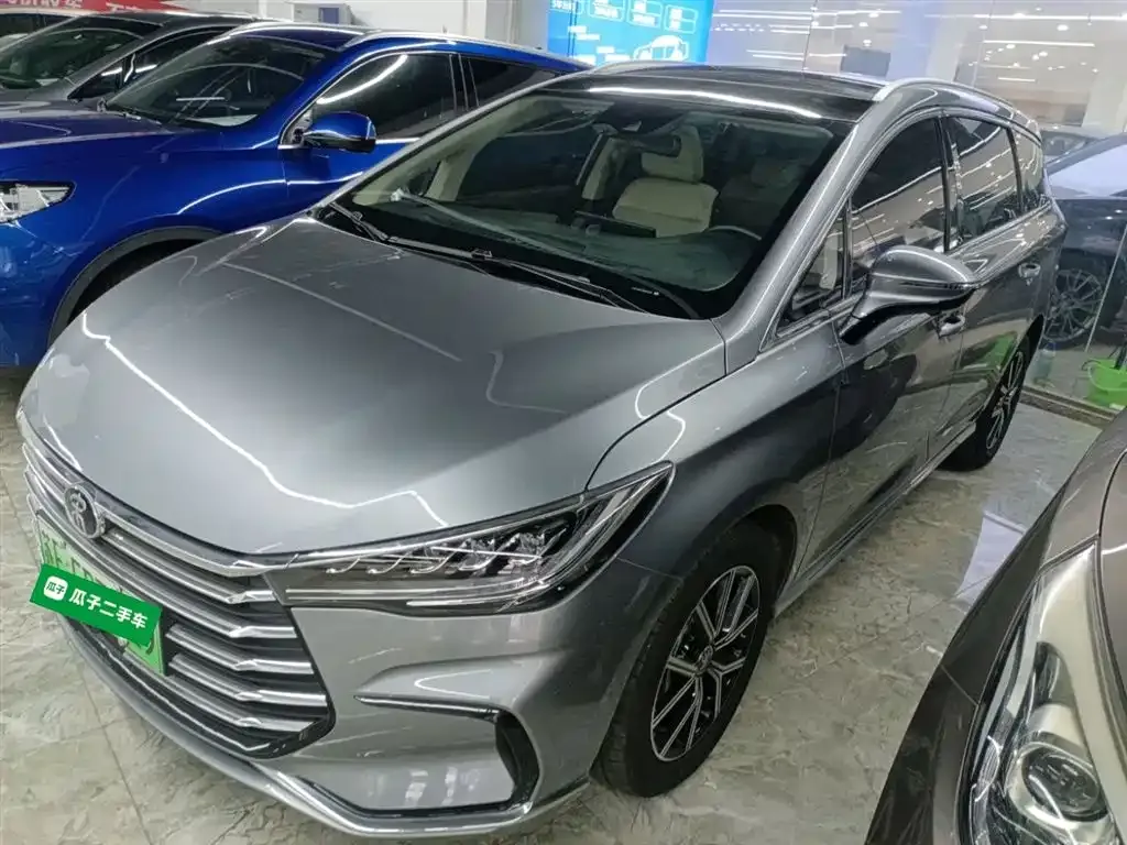 BYD MAX New Energy 2023 из CN, фото 1