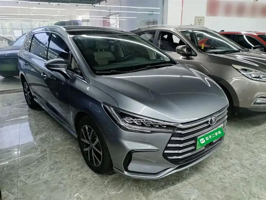BYD MAX New Energy 2023 из CN, фото 4