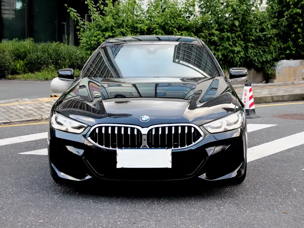 BMW 8 Series — фото 2