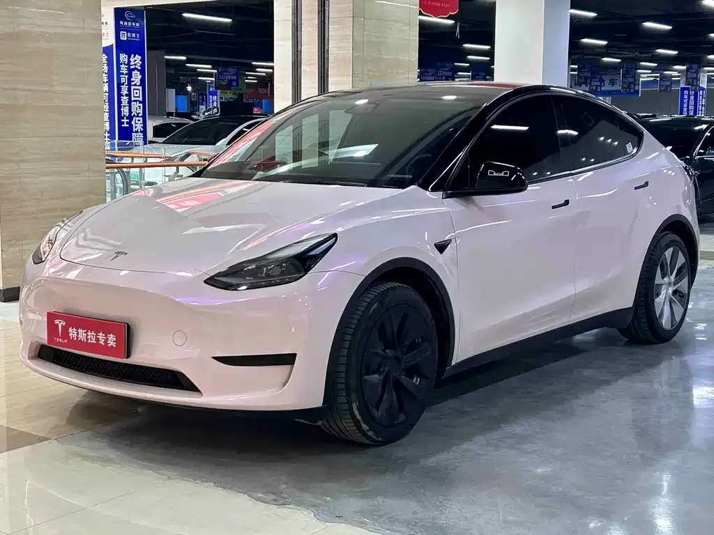 Tesla Model Y — фото 1