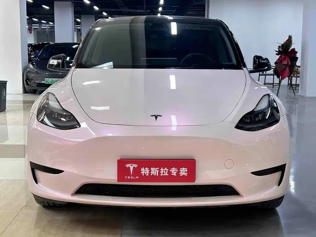 Tesla Model Y — фото 2