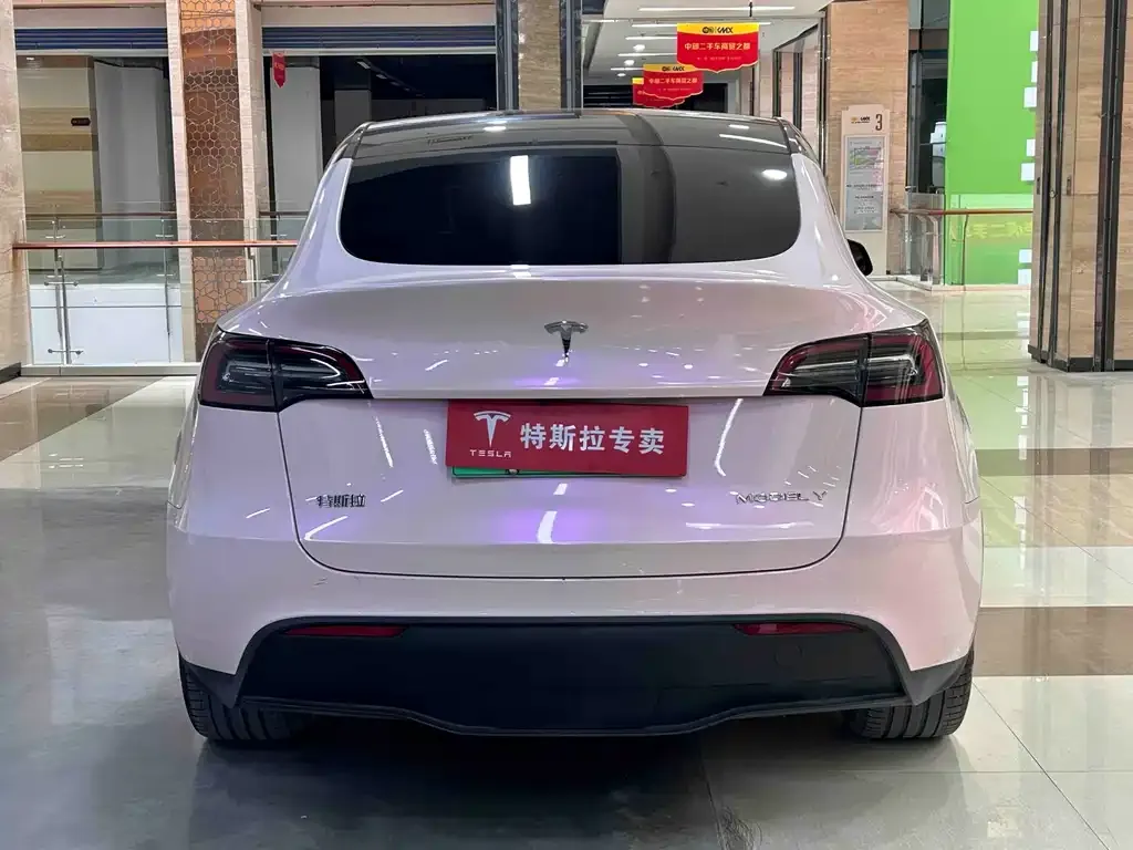 Tesla Model Y — фото 8