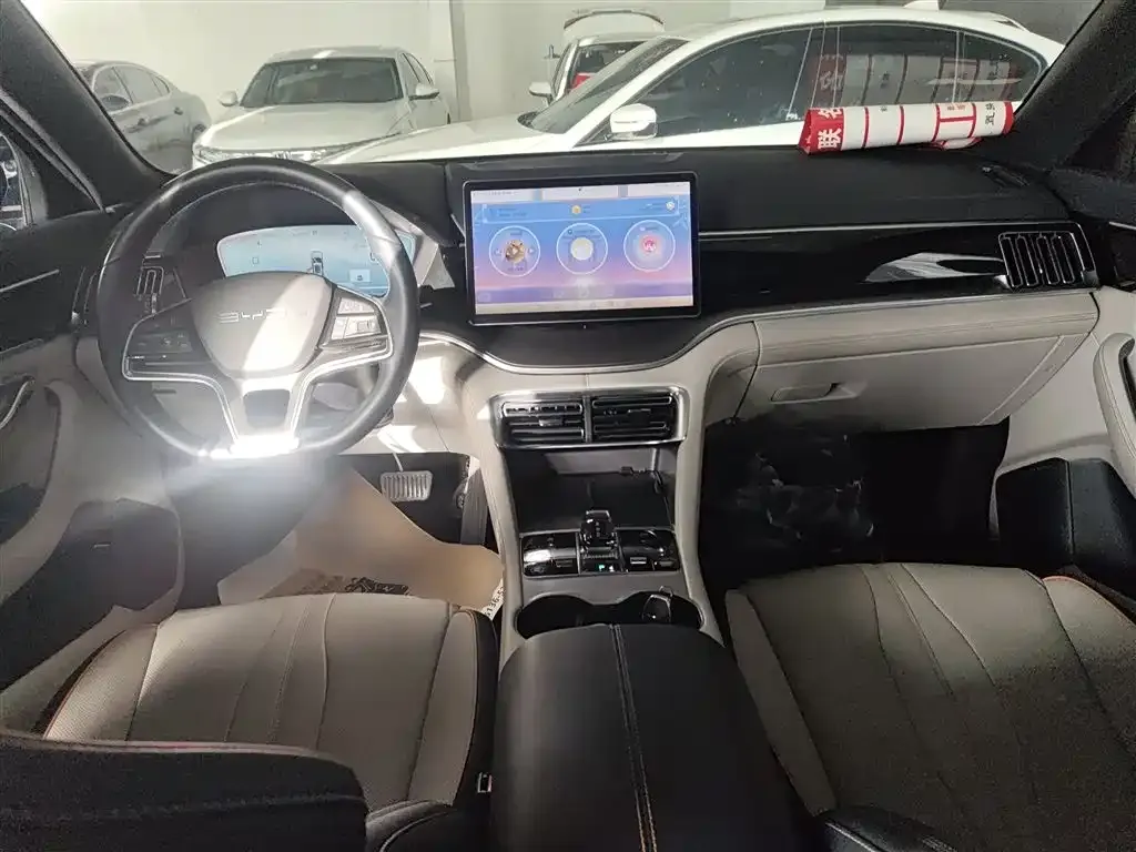 BYD PLUS New Energy 2024 из CN, фото 10