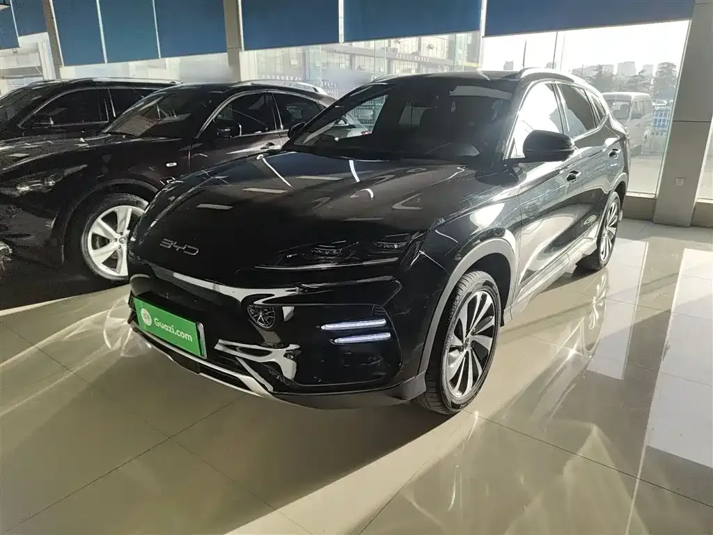 BYD PLUS New Energy 2024 из CN, фото 2