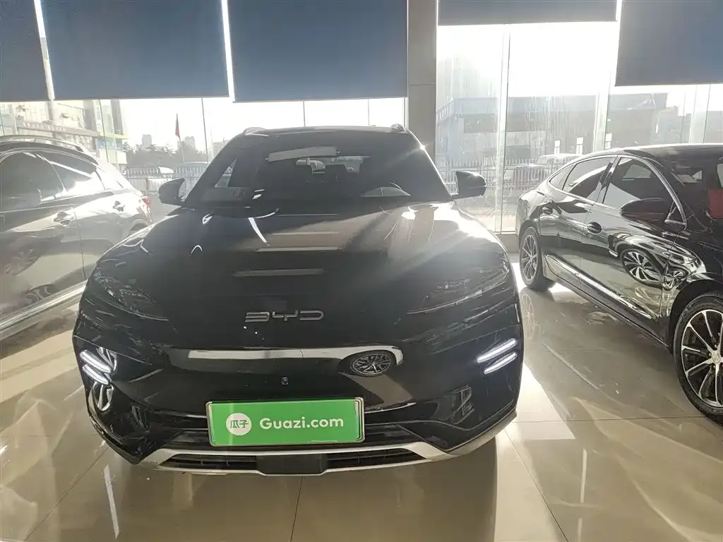 BYD PLUS New Energy 2024 из CN, фото 3