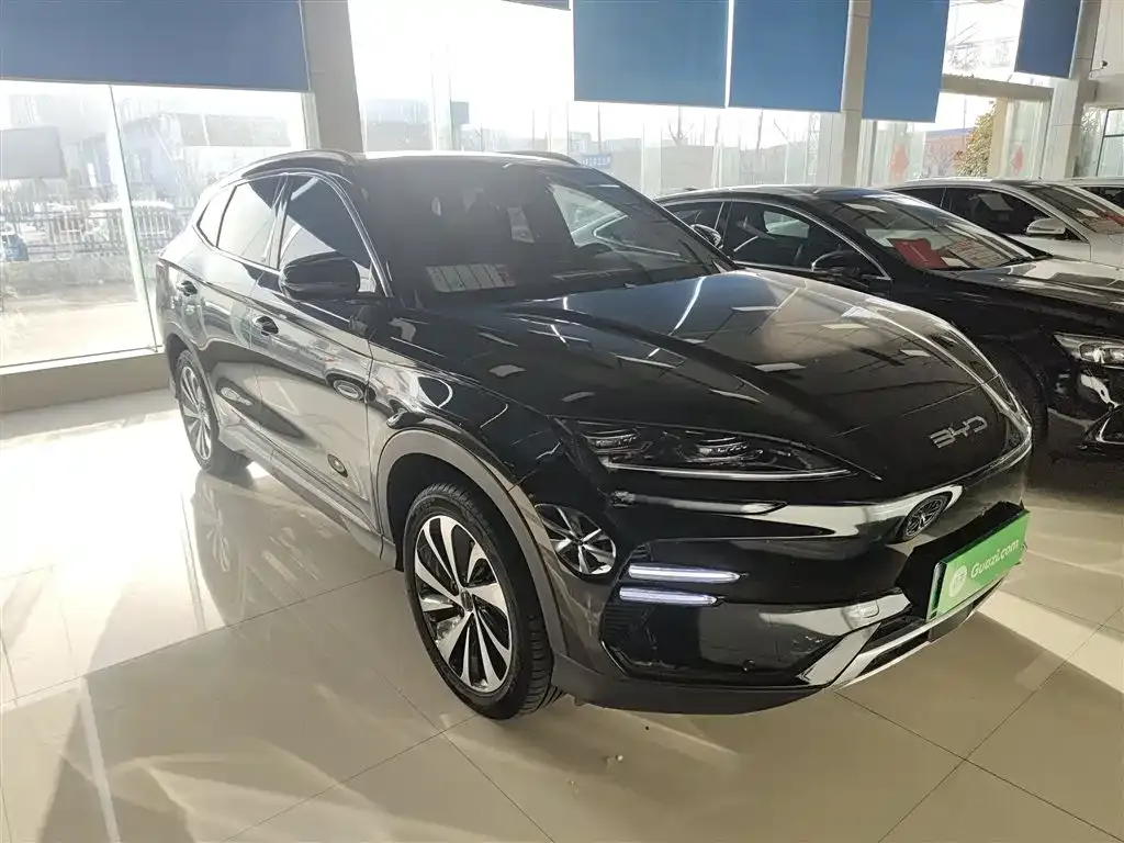 BYD PLUS New Energy 2024 из CN, фото 4