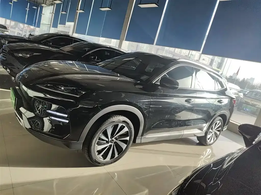 BYD PLUS New Energy 2024 из CN, фото 5