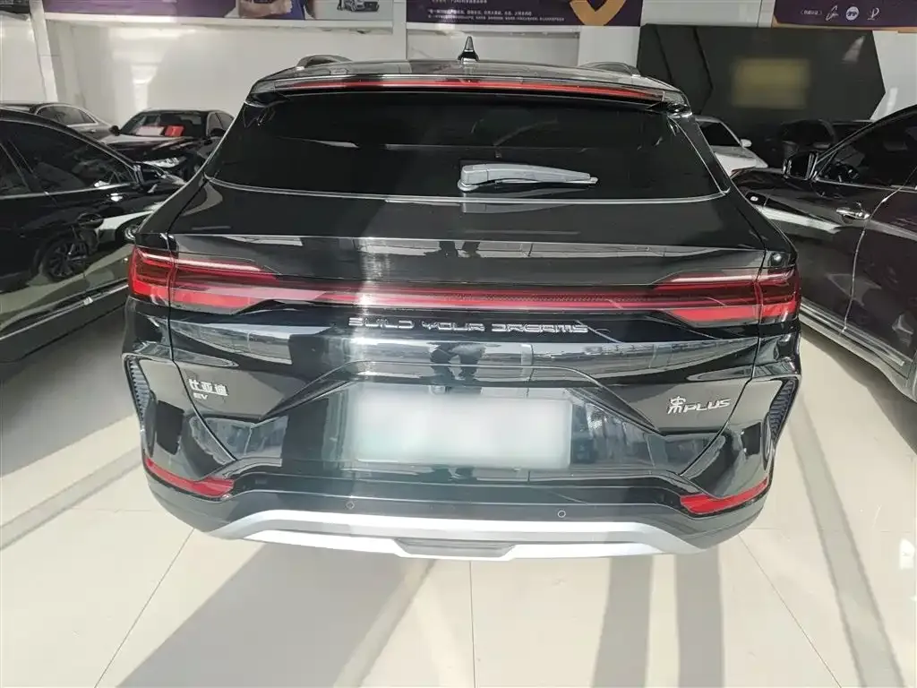 BYD PLUS New Energy 2024 из CN, фото 6