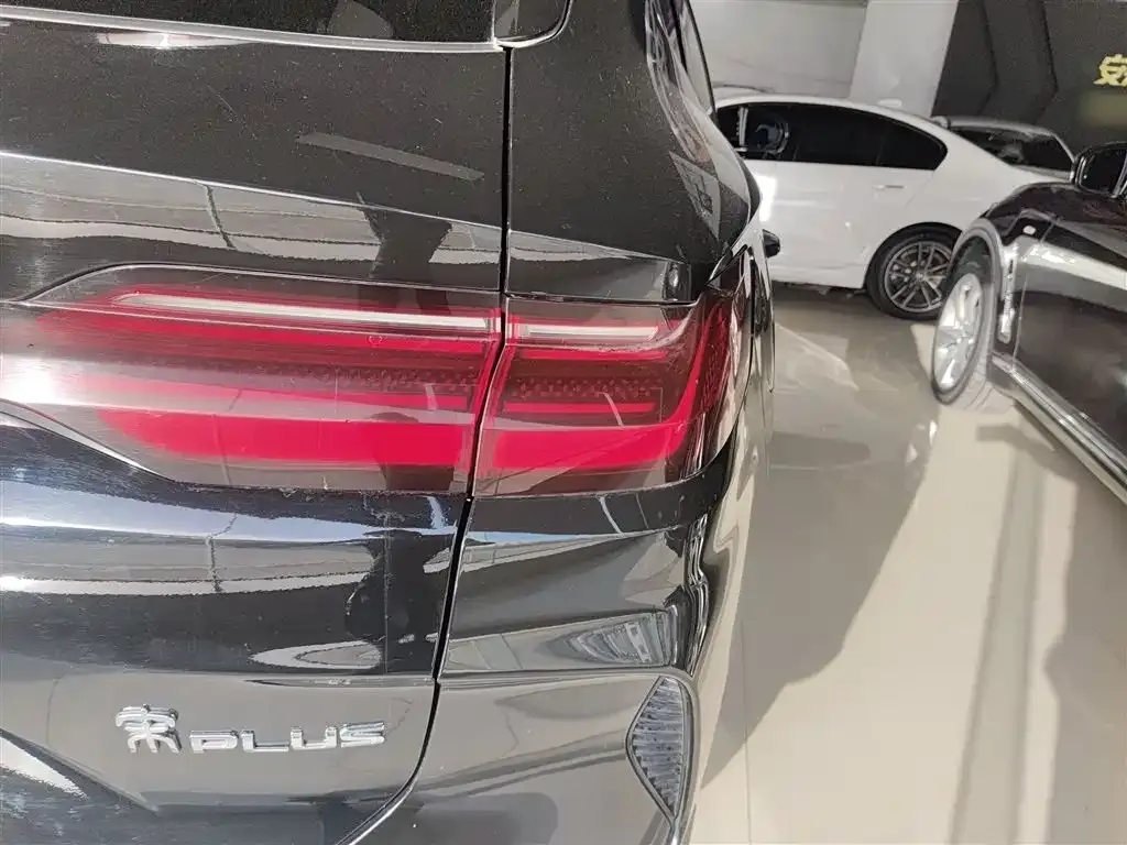 BYD PLUS New Energy 2024 из CN, фото 8
