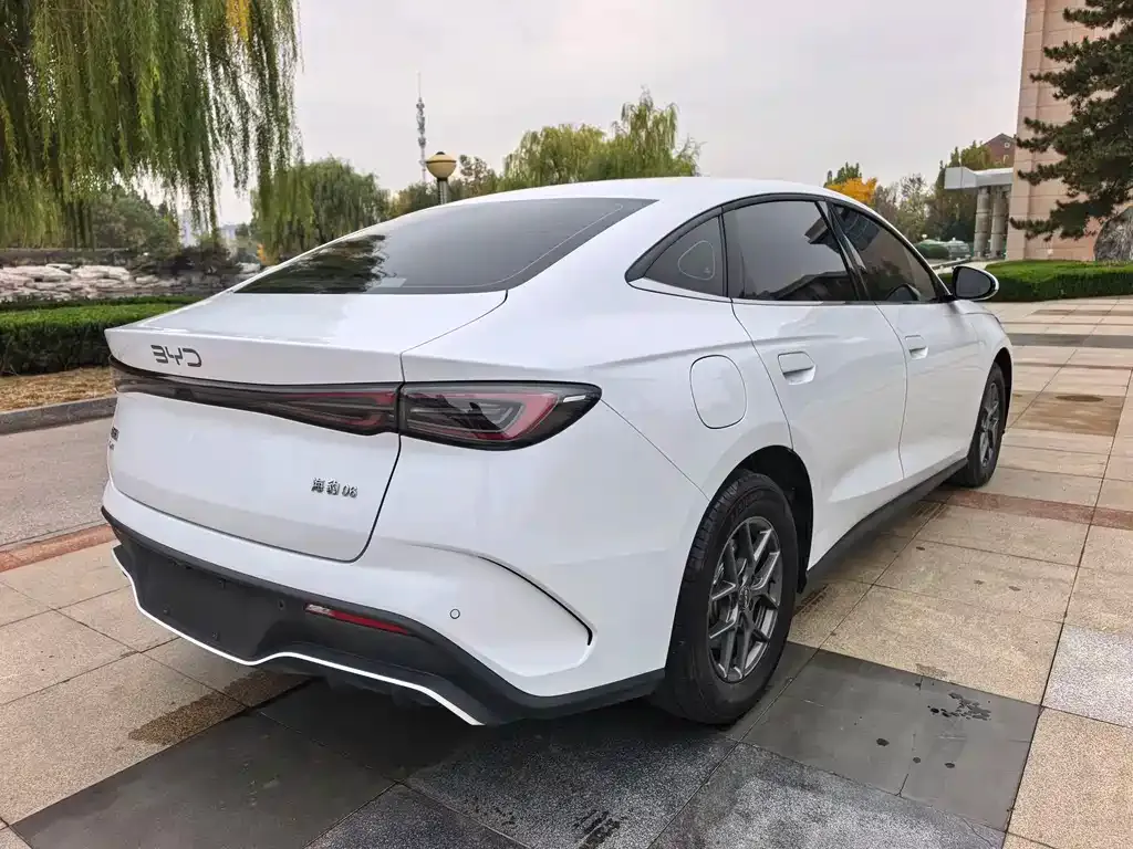 BYD Seal 06 NEV 2024 из CN, фото 4
